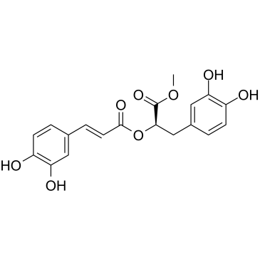 Methyl rosmarinate 化学構造