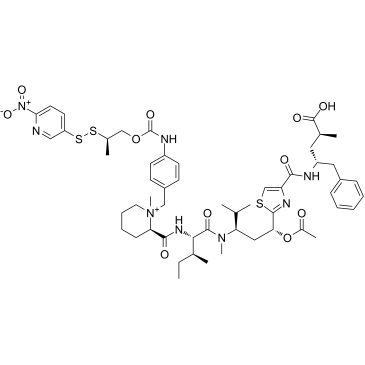 Nitro-PDS-Tubulysin M  Chemical Structure
