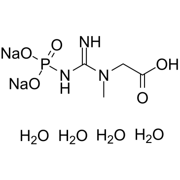 Phosphocreatine disodium tetrahydrate التركيب الكيميائي