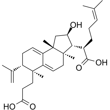 Poricoic acid B Chemische Struktur