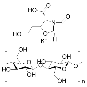 Potassium clavulanate cellulose التركيب الكيميائي
