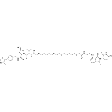 PROTAC CRBN Degrader-1 化学構造