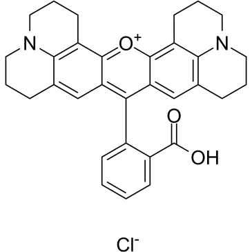 Rhodamine 101 chloride Chemische Struktur