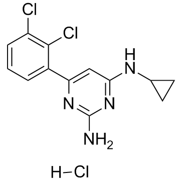 TH588 hydrochloride Chemische Struktur