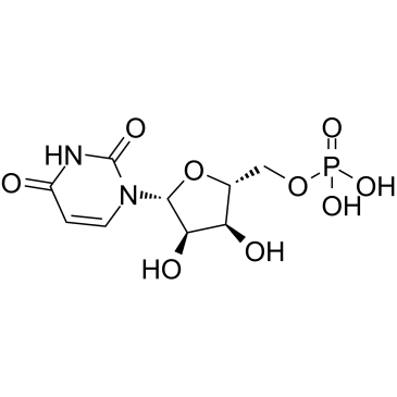 Uridine 5'-monophosphate التركيب الكيميائي