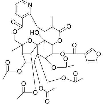 Wilforgine 化学構造