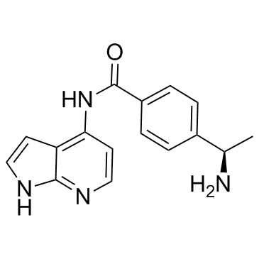 Y-33075  Chemical Structure