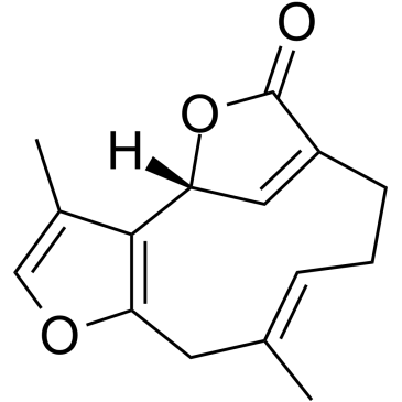 Linderalactone التركيب الكيميائي