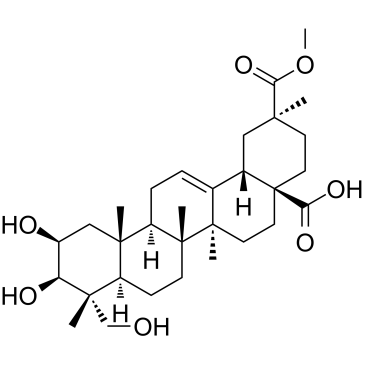 Phytolaccagenin Chemical Structure