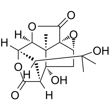 Picrotin 化学構造