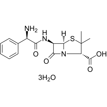 Ampicillin (trihydrate)  Chemical Structure