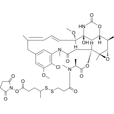 SPP-DM1 化学構造