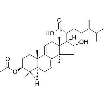 Dehydropachymic acid Chemische Struktur