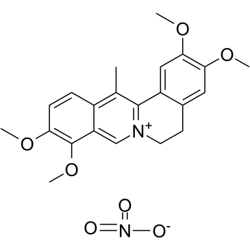 Dehydrocorydaline nitrate 化学構造