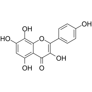 Herbacetin التركيب الكيميائي