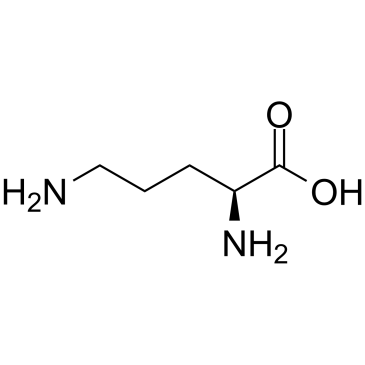 L-Ornithine Chemical Structure