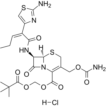 Cefcapene pivoxil hydrochloride 化学構造