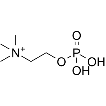 Phosphorylcholine 化学構造