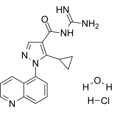 Zoniporide hydrochloride hydrate التركيب الكيميائي