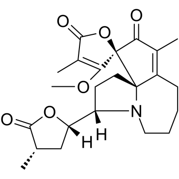 Protostemotinine 化学構造