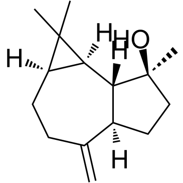 Spathulenol 化学構造