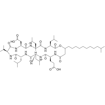 Surfactin C1 Chemical Structure