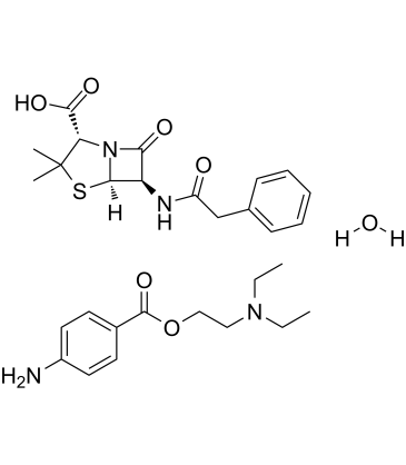 Penicillin G Procaine Chemische Struktur