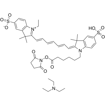 CY7-SE triethylamine 化学構造