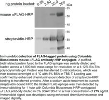 Mouse Anti-DYKDDDDK (Clone M2) IgG:HRP Chemical Structure
