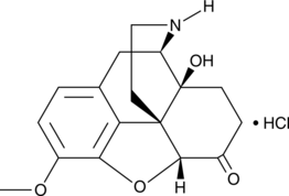 Noroxycodone (hydrochloride) Chemical Structure