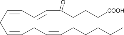 5-OxoETE 化学構造