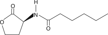N-hexanoyl-L-Homoserine lactone Chemische Struktur