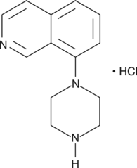8-piperazin-1-yl-Isoquinoline (hydrochloride) Chemical Structure