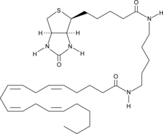 Arachidonic Acid-biotin  Chemical Structure