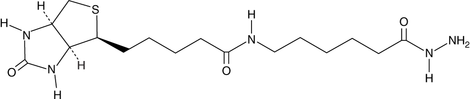 Biotin LC hydrazide التركيب الكيميائي
