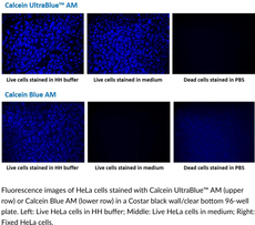 Calcein UltraBlue™ AM Chemical Structure
