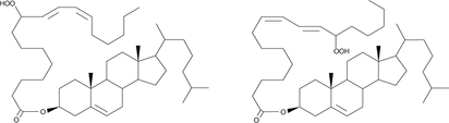 Cholesteryl Linoleate Hydroperoxides 化学構造