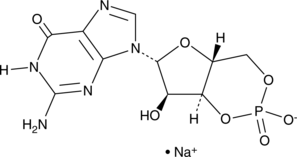 Cyclic GMP Chemical Structure