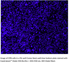 CytoCalcein™ Violet 450 Chemische Struktur