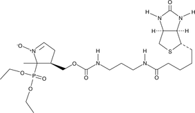 DEPMPO-biotin Chemische Struktur