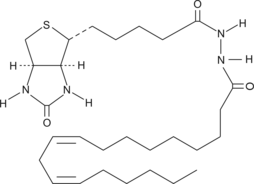 Linoleic Acid-biotin 化学構造