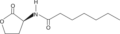 N-heptanoyl-L-Homoserine lactone Chemical Structure