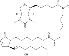 Prostaglandin A1-biotin التركيب الكيميائي