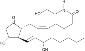 Prostaglandin E2 Ethanolamide MaxSpec® Standard 化学構造