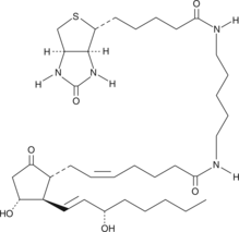 Prostaglandin E2-biotin 化学構造