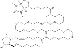 Prostaglandin E2-PEG11-biotin Chemische Struktur