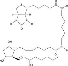 Prostaglandin F2α-biotin التركيب الكيميائي