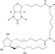 Prostaglandin F2α-biotin  Chemical Structure