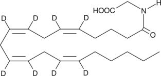 Arachidonoyl Glycine-d8 化学構造