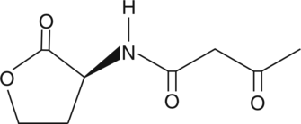 N-3-oxo-butyryl-L-Homoserine lactone 化学構造